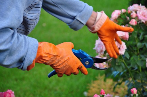 A lighter, balanced tree canopy beside Holborn properties