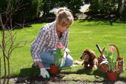 Free quotation visit for tree surgery at a Holborn property